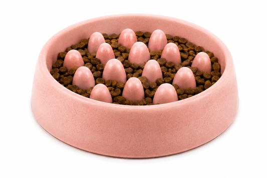Pink dog bowl filled with brown kibble and pink rubber feeding spikes